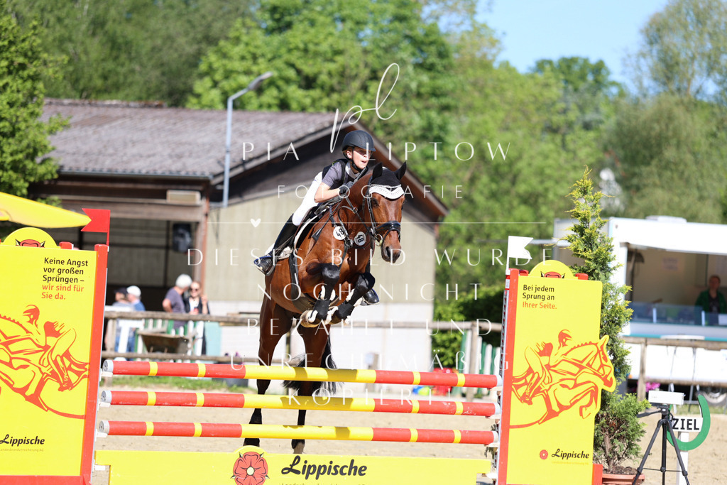 IMGS6844 | pl-fotografie