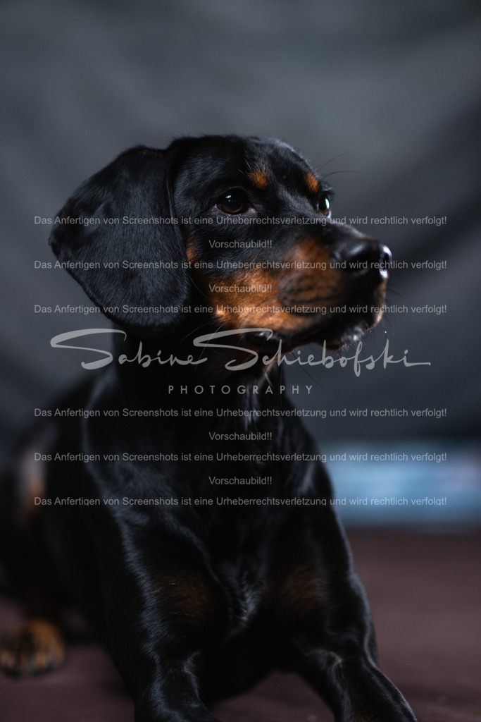 DSCF4425 | People- und Tierfotografie, Imageaufnahmen, Veranstaltungsfotografie und Wandbilder aus der Natur ★ Made in Germany ✔️ Druck + Downloads ✔️ Naturfotografie in Top Qualität ★ schneller Versand, weltweite Lieferung! - Realisiert mit Pictrs.com