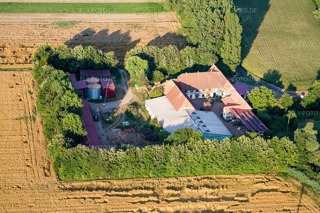 Luftbild: am Erlenbach, Leistenmühle in Kandel im Bundesland Rheinland-Pfalz in Deutschland. Foto: IMG_11779.jpg vom 25.07.2008 durch Werner Riehm/FLY-FOTO.de