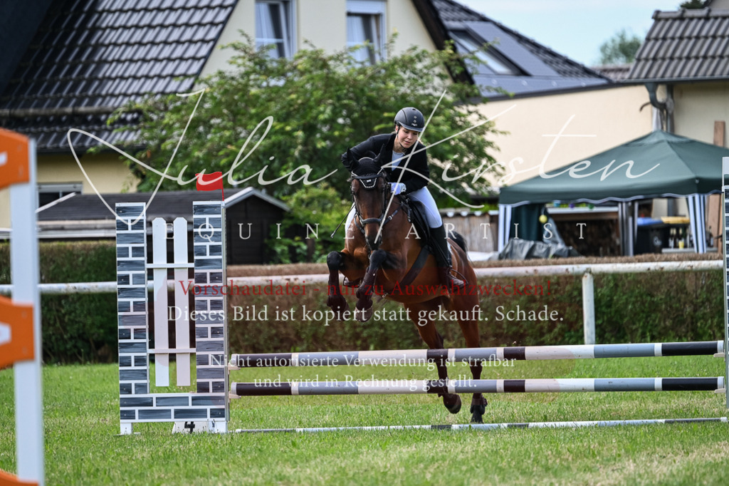 DSC_8654 | Pferde- und Turnierfotografie in Westsachsen. Pferdeportraits, Auftragszeichnungen und intuitive Kunst.