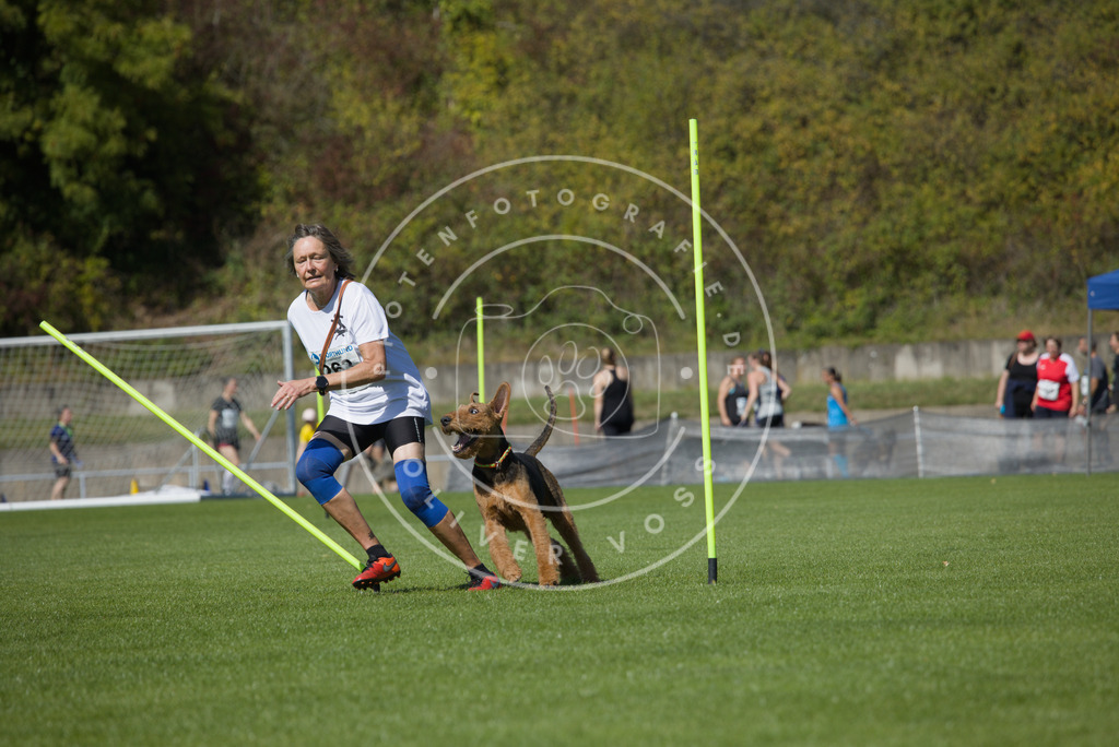 0L8A6490 | Hundefotografie, Tierfotograf, Pfotenfotografie, Fotoshooting Hund, Hunde Portrait, Hundesport, Hundeportraits, Heideshooting, Hunde, Sportfotograf, Hundefotograf, Turnierhundsport, THS,  - Realisiert mit Pictrs.com