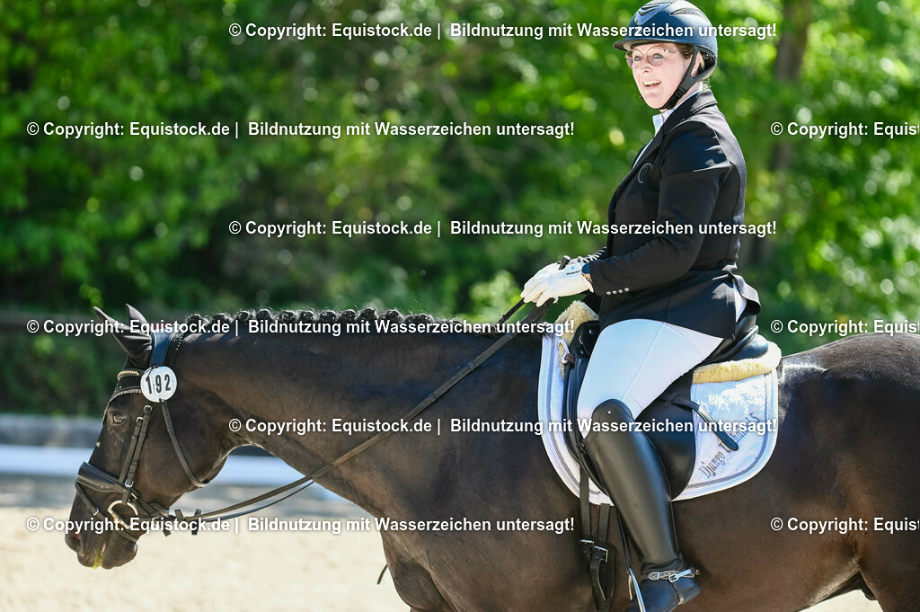 20230908_06_Dressur-L-Trense_0739 | equistock