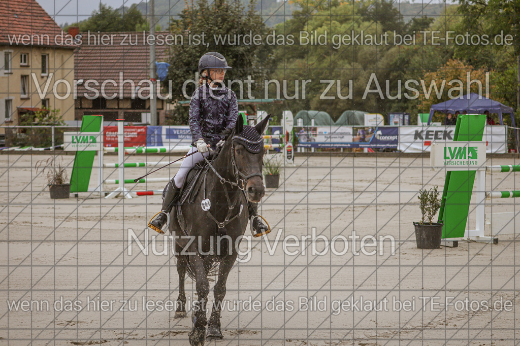 2025-09-22_10-09-40_MG_6010 | TE-Fotos