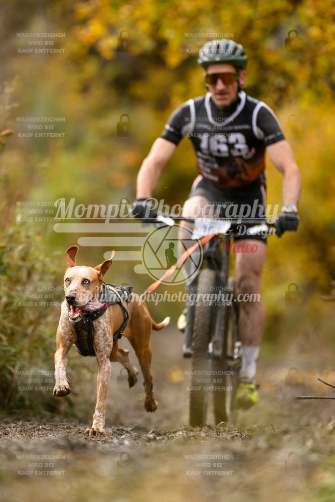 MompixPhotography_ICF_WC_2024_SA_Bike_-211 | PayLife