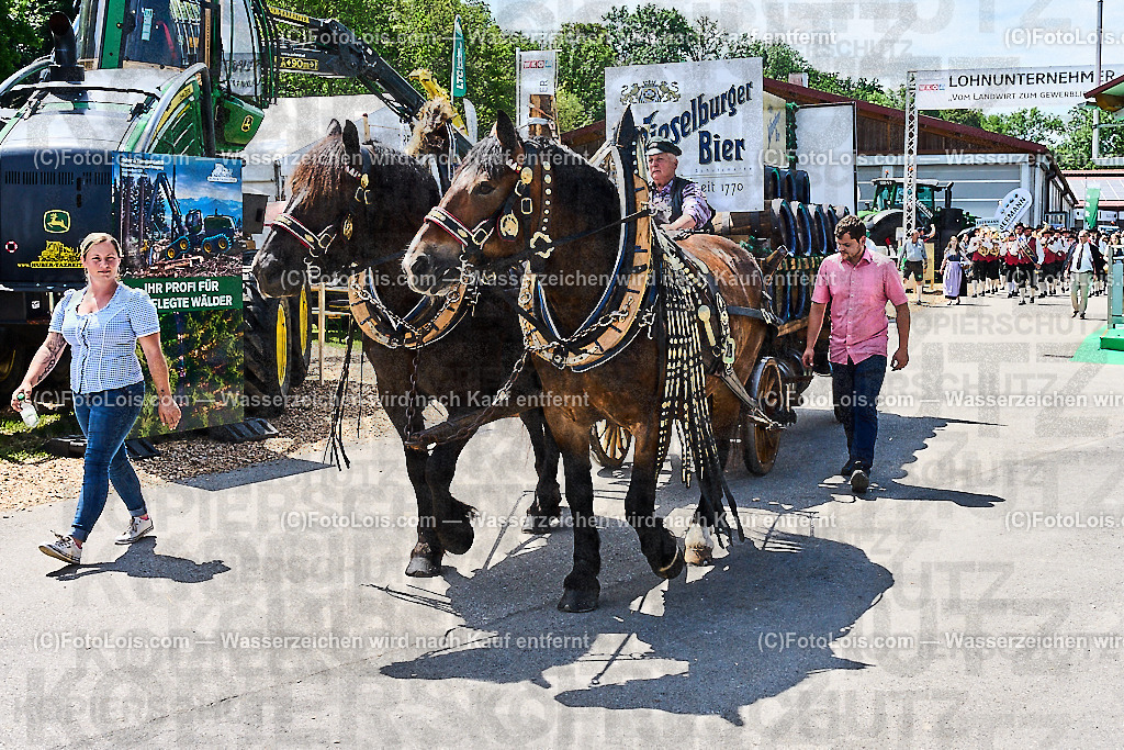 ALP9469_MESSE_LAND-FORST-JAGD_Wieselburger PferdeBierwagen | (C)FotoLois.com, Alois Spandl, WIESELBURGER MESSE LAND-FORST-JAGD, Eröffnung mit Messerundgang mit BM Norbert Totschnig, LH Johanna Mickl-Leitner, LH-Stv. Stephan Pernkopf, LLK Johannes Schmuckenschlager, GF Marion Heim, Hannes Heindl, Bgm. Josef Leitner, Bgm. Franz Rafetseder, ..., Do 6. Juni 2024.