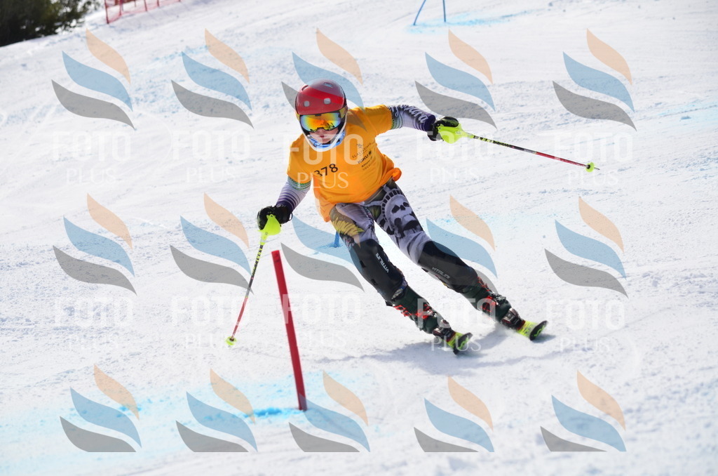 C9899 | holidayphoto