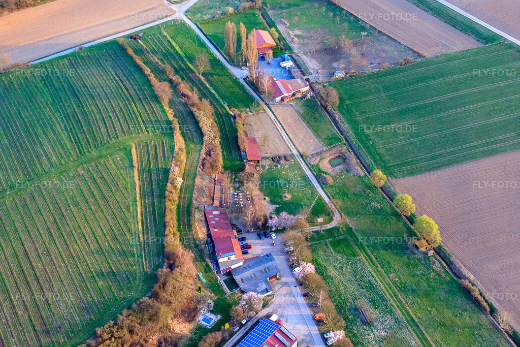 Luftbild: Ranch Herxe in Herxheim bei Landau im Bundesland Rheinland-Pfalz in Deutschland. Foto: IMG_38945.jpg vom 25.03.2011 durch Werner Riehm/FLY-FOTO.deRANCH HERXE · Das Ausflugsziel für Herxheim und Umgebung