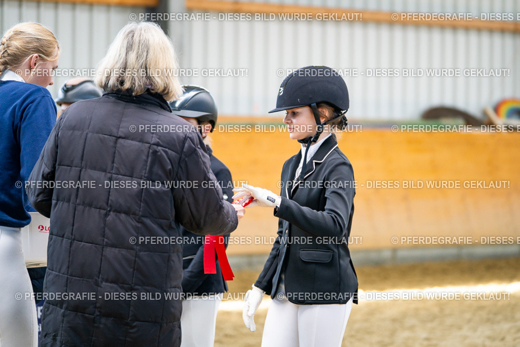 DSC02384 | Pferdegrafie