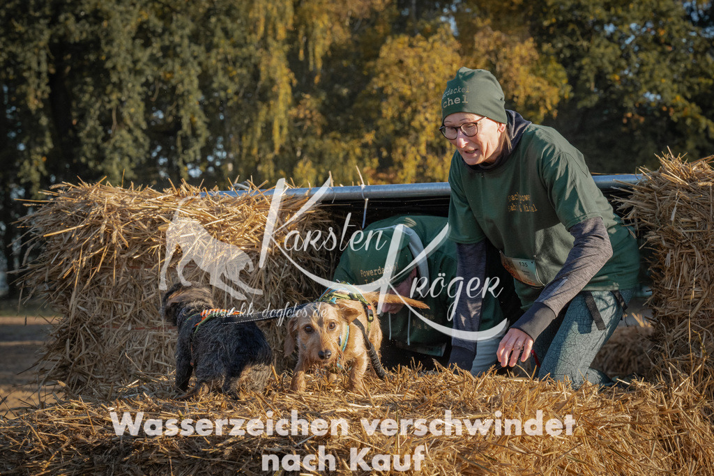 0924_ZZ92897 | kk-dogfotos