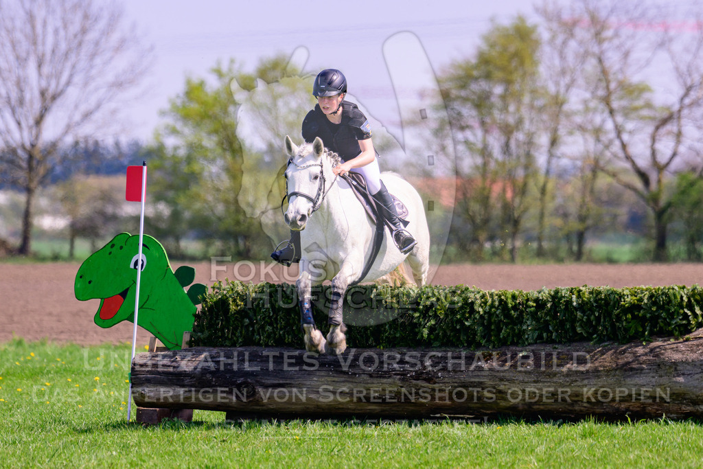 18042026-Gernlinden-01-1-0193 | Fokus Hufschlag Fotografie - Realisiert mit Pictrs.com