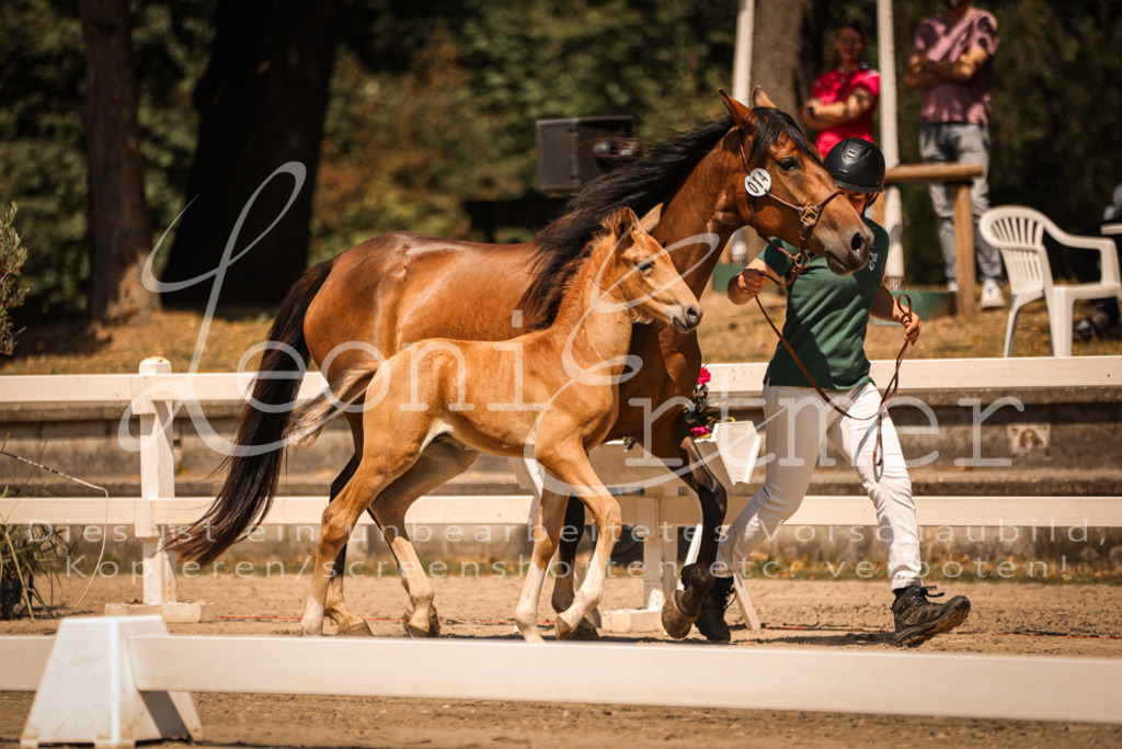 03.DoAB00024 | Leoni Ertmer Photography - Realisiert mit Pictrs.com