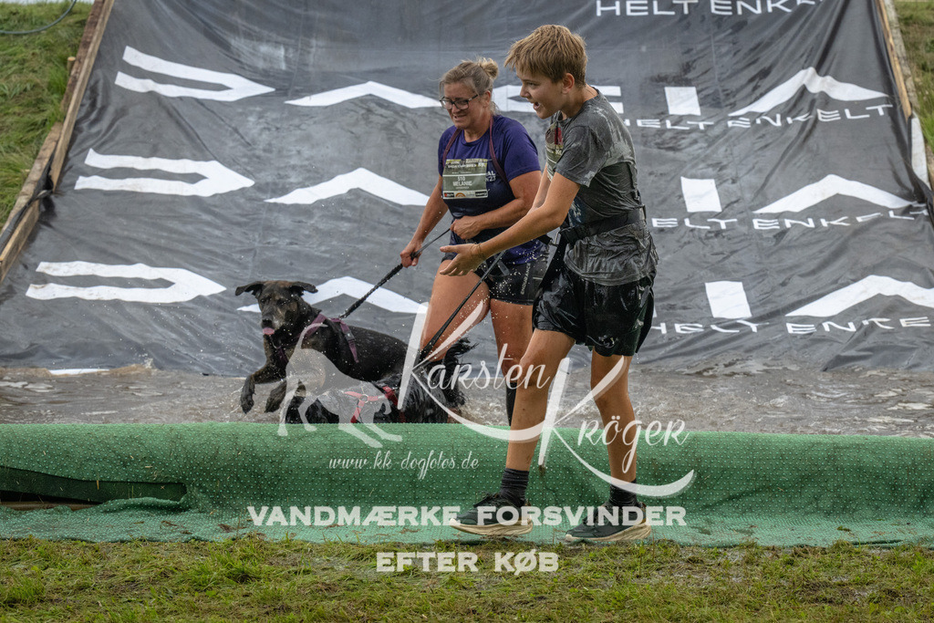 1616_ZZ93022 | kk-dogfotos