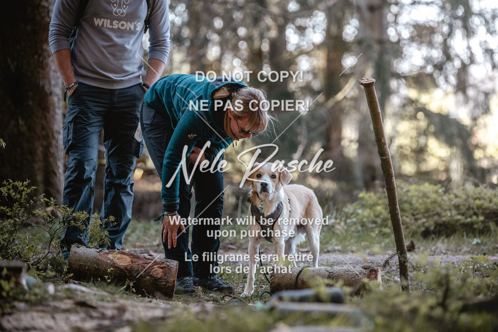 6Z1A0727 | nelerasche