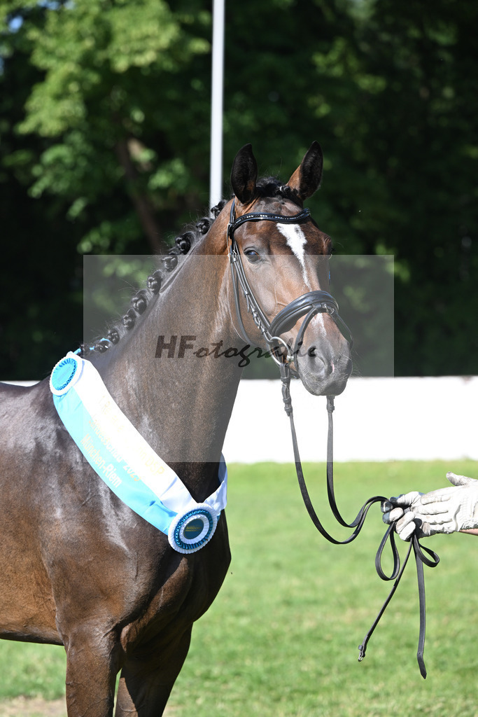 Kat-Nr. 59 Aurora v. Danone I_HLG Schwaiganger_19251592 | hf-fotografie - Realizzato con Pictrs.com
