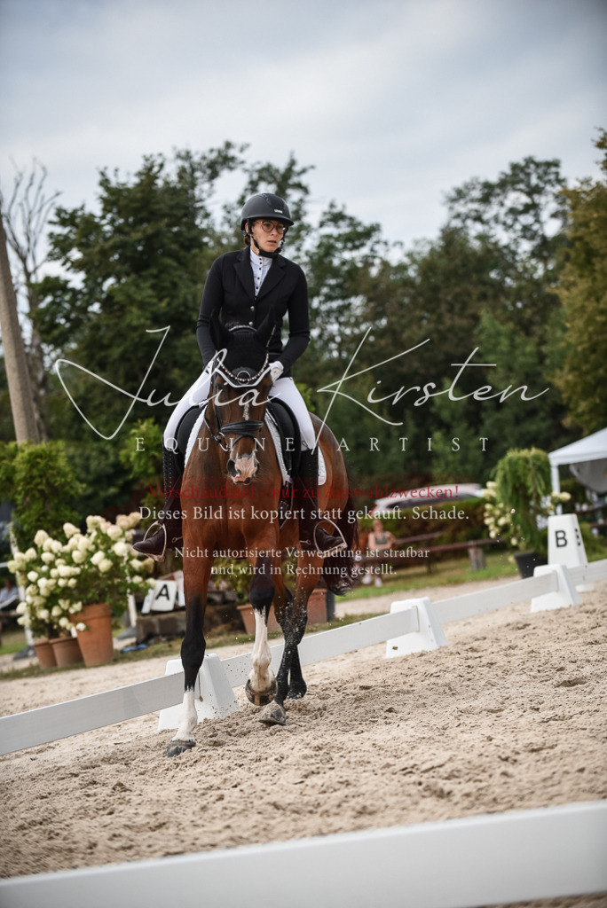 DSC_8567 | Pferde- und Turnierfotografie in Westsachsen. Pferdeportraits, Auftragszeichnungen und intuitive Kunst.