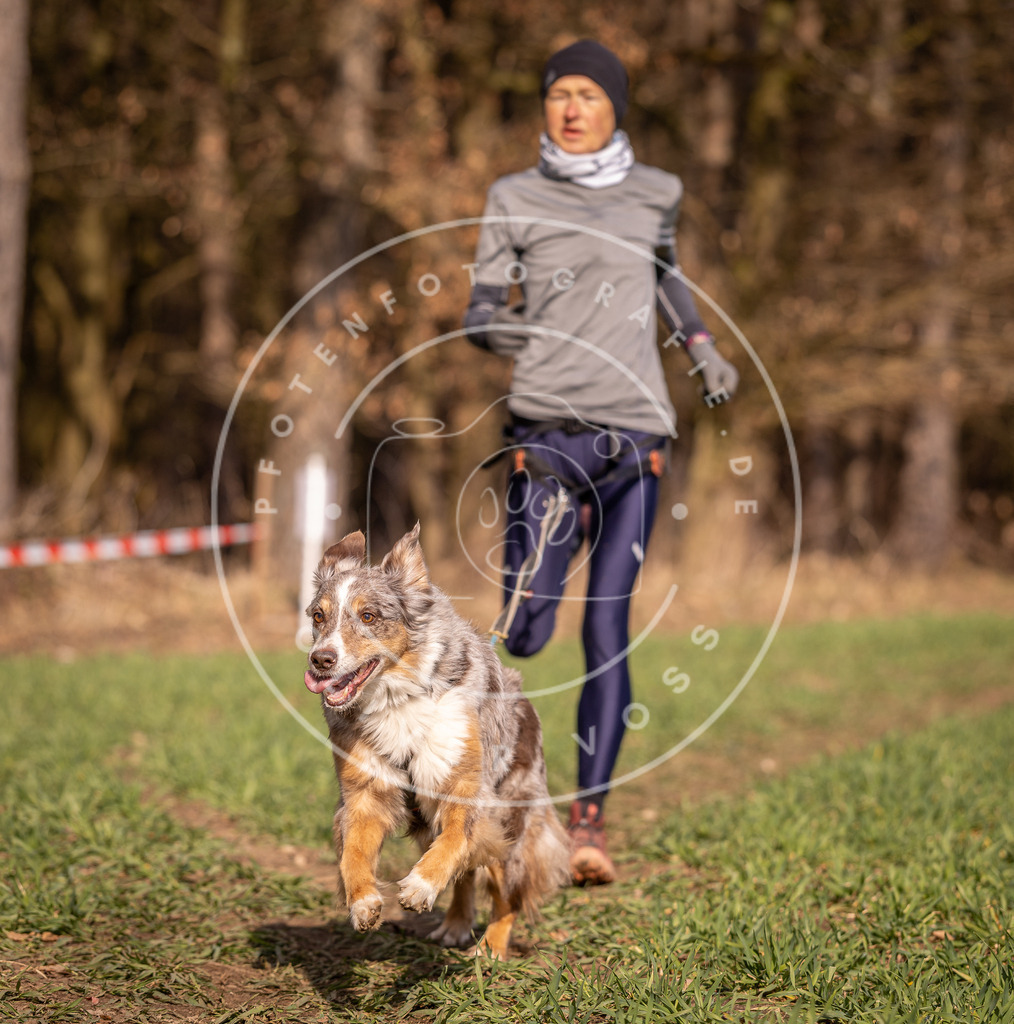 DV3A6444 | Hundefotografie, Tierfotograf, Pfotenfotografie, Fotoshooting Hund, Hunde Portrait, Hundesport, Hundeportraits, Heideshooting, Hunde, Sportfotograf, Hundefotograf, Turnierhundsport, THS,  - Realisiert mit Pictrs.com