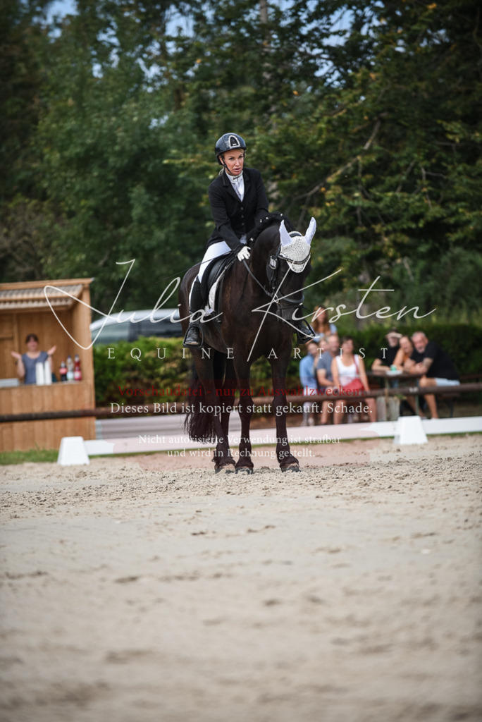 DSC_8659 | Pferde- und Turnierfotografie in Westsachsen. Pferdeportraits, Auftragszeichnungen und intuitive Kunst.