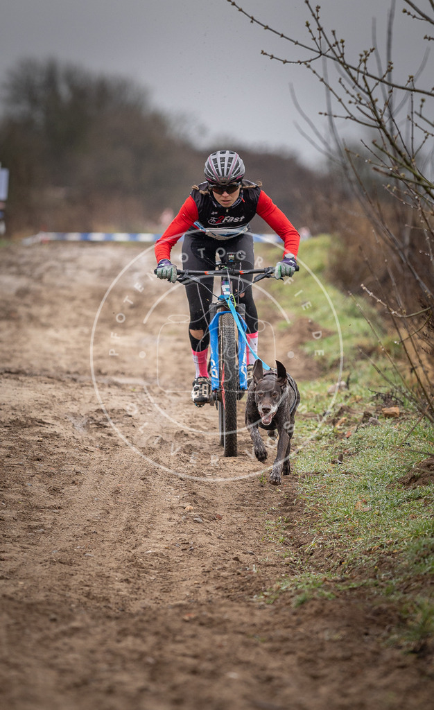 DV3A8838 | Hundefotografie, Tierfotograf, Pfotenfotografie, Fotoshooting Hund, Hunde Portrait, Hundesport, Hundeportraits, Heideshooting, Hunde, Sportfotograf, Hundefotograf, Turnierhundsport, THS,  - Realisiert mit Pictrs.com