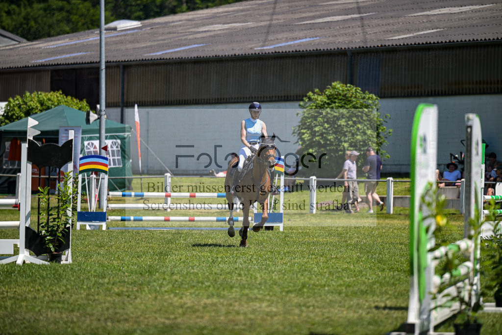 Reitturnier Voxtrup | Entdecke hochwertige Reitturnierfotos von Foto Oger. Professionell, emotional und authentisch – jetzt Lieblingsmomente im Shop bestellen.Deutschlandweite Turnierfotografie. - Realisiert mit Pictrs.com