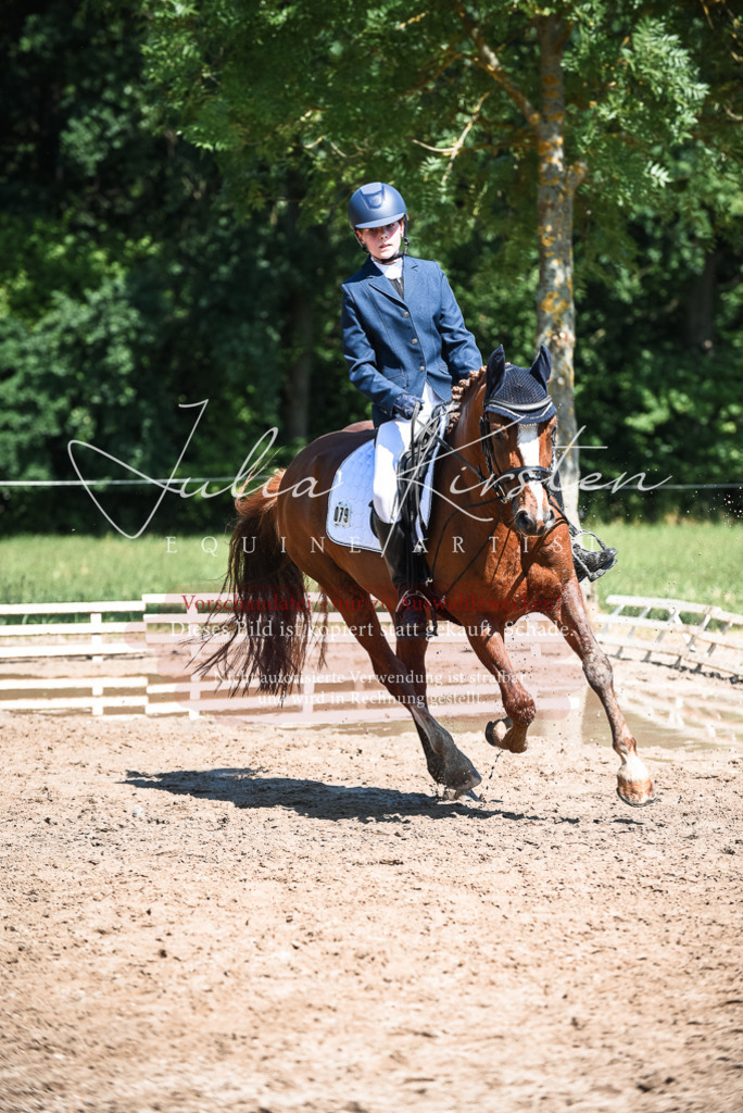 DSC_3534 | Pferde- und Turnierfotografie in Westsachsen. Pferdeportraits, Auftragszeichnungen und intuitive Kunst.