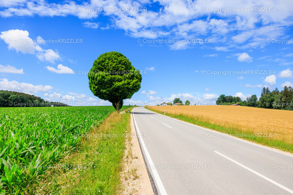 Oberfeldkirchen | medienkrizzler - Realisiert mit Pictrs.com