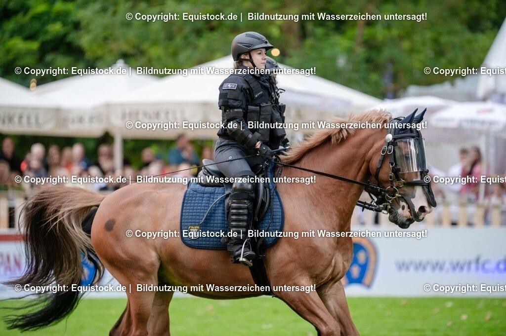 20250606_Lange-Pferdenacht_0676 | Foto: Thomas Hartig