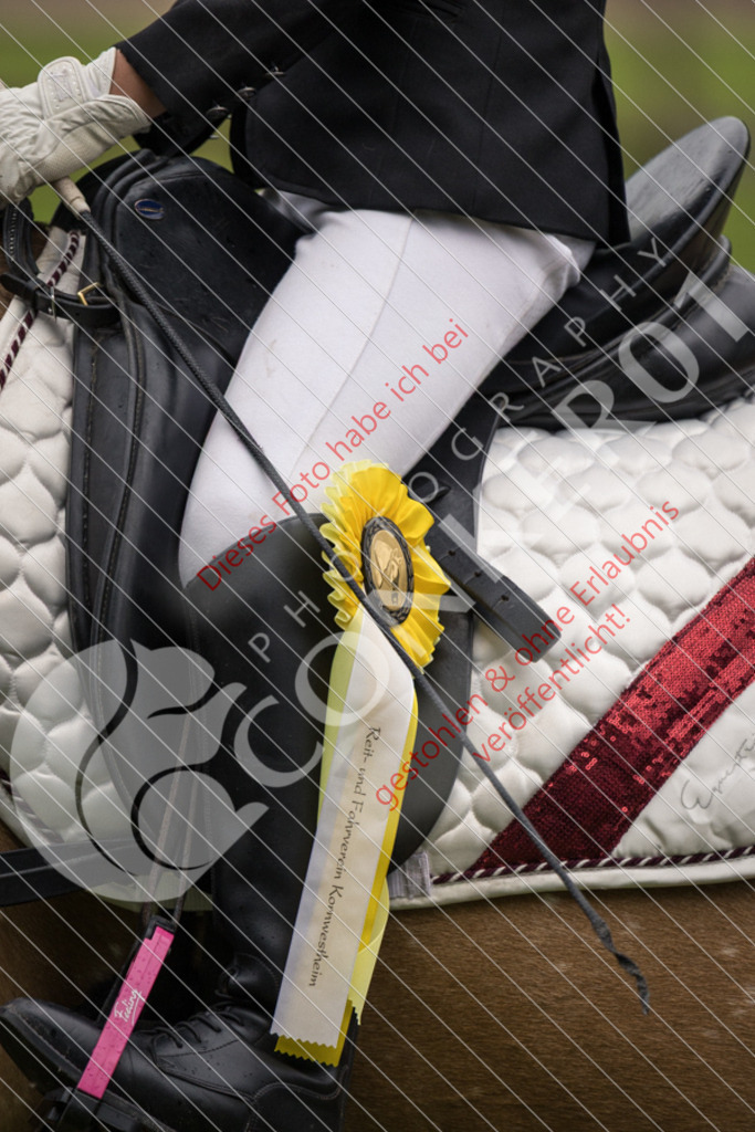 IMG_7948 | Sport-, Event- und Tierfotos in Profiqualität. Einfach auswählen, bestellen und herunterladen. Dein Moment – perfekt festgehalten.