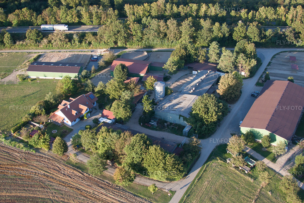 Luftbild: Pferdepension Brecht im Ortsteil Huttenheim in Philippsburg im Bundesland Baden-Württemberg in Deutschland.Foto: IMG_59692.jpg vom 04.09.2013 durch Werner Riehm/FLY-FOTO.deAuflösung des Originals: 4752 x 3168 px