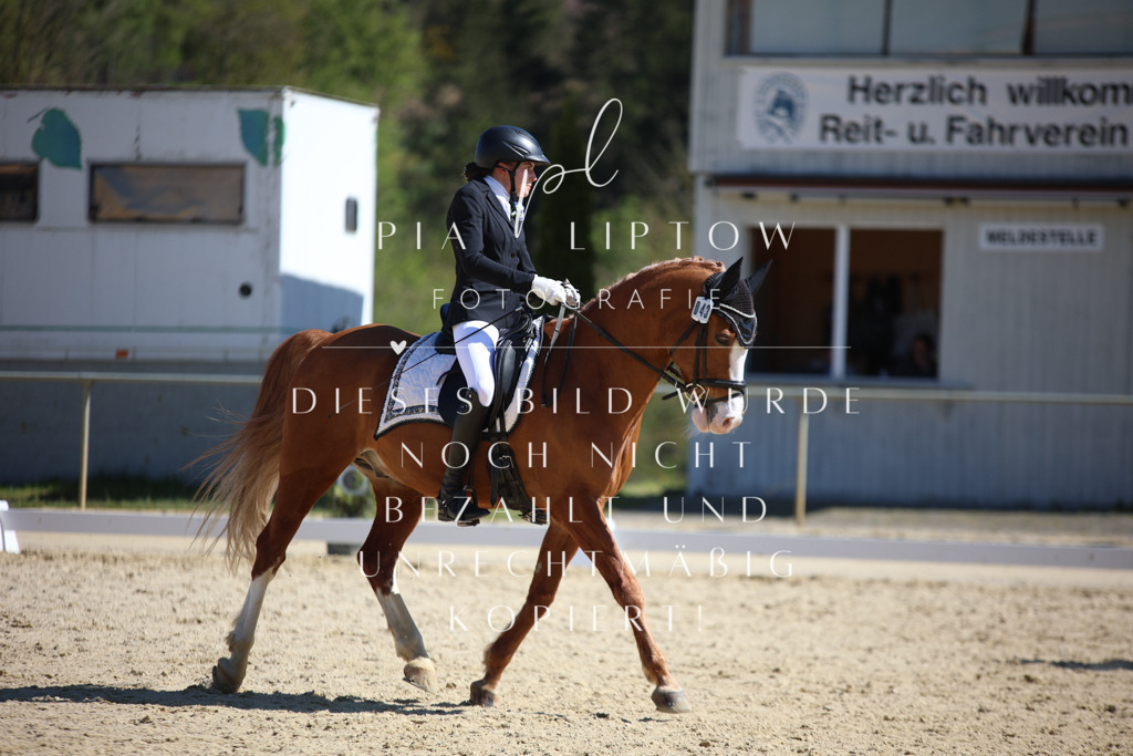 IMGT1619 | pl-fotografie