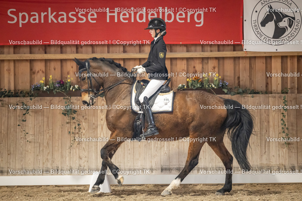 _D5A9613 | Emotionale Pferde- & People-Fotografie rund um Heidelberg, Leimen & Umgebung. Natürliche Fotos von Pferd, Mensch & Familie. Jetzt Termin sichern!