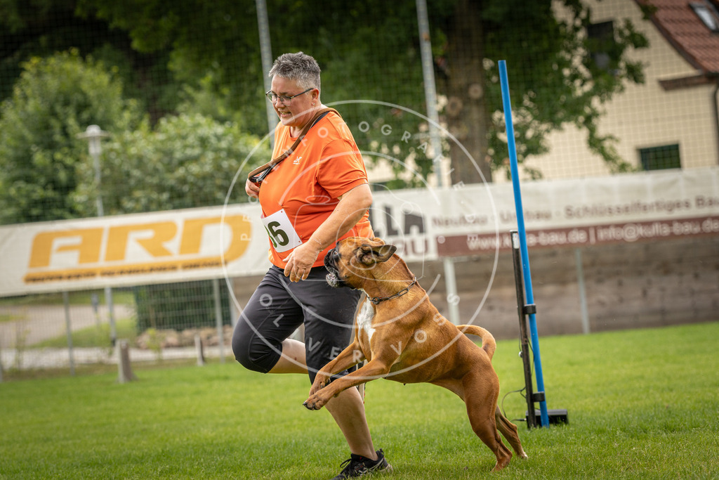 Pfotenfotografie_DV3A2721 | Hundefotografie, Tierfotograf, Pfotenfotografie, Fotoshooting Hund, Hunde Portrait, Hundesport, Hundeportraits, Heideshooting, Hunde, Sportfotograf, Hundefotograf, Turnierhundsport, THS,  - Realisiert mit Pictrs.com