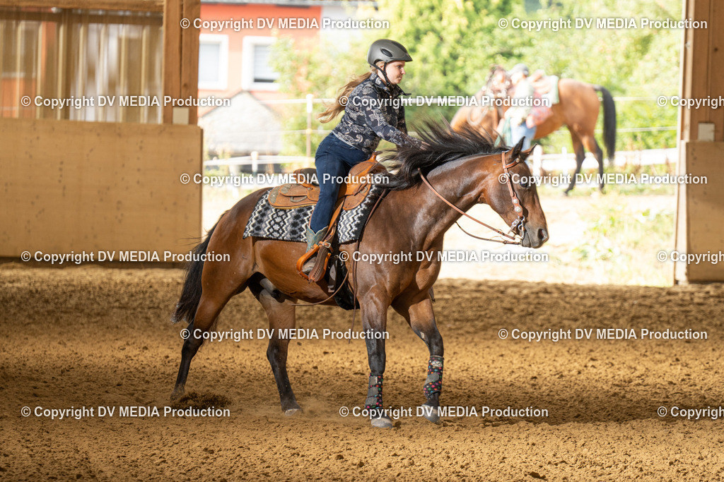 LAU01413 | dv-media-shop - Realisiert mit Pictrs.com