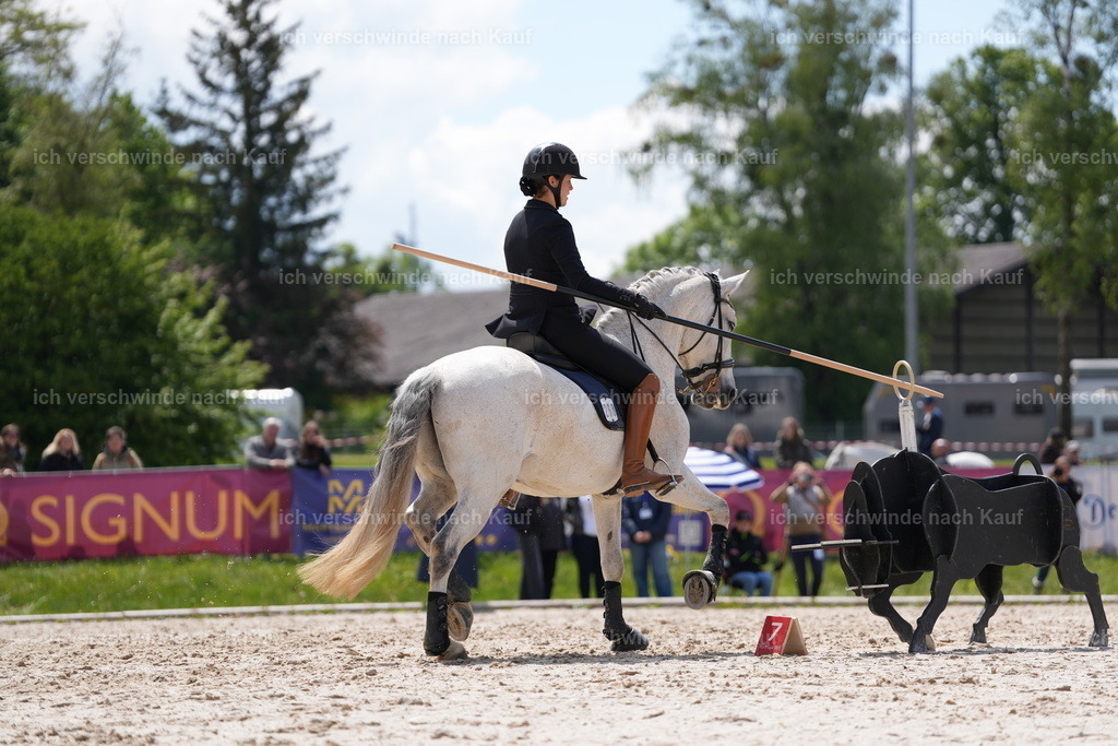 PI26_ST_SP_JansPictures7C_09036.JPG | working equitationturnier fotograf videograf stoibphotography marixx film working equitation deutschland reitsport turnierfotografie eventfotografie equestrian events