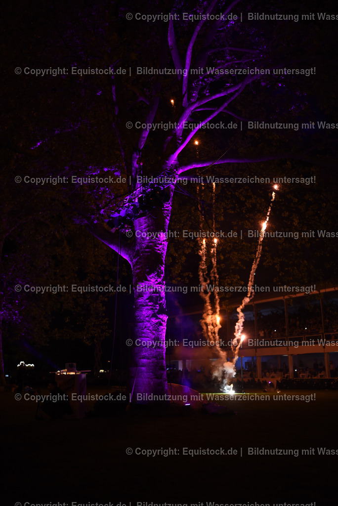 20230526_Pferdenacht_1598 | equistock