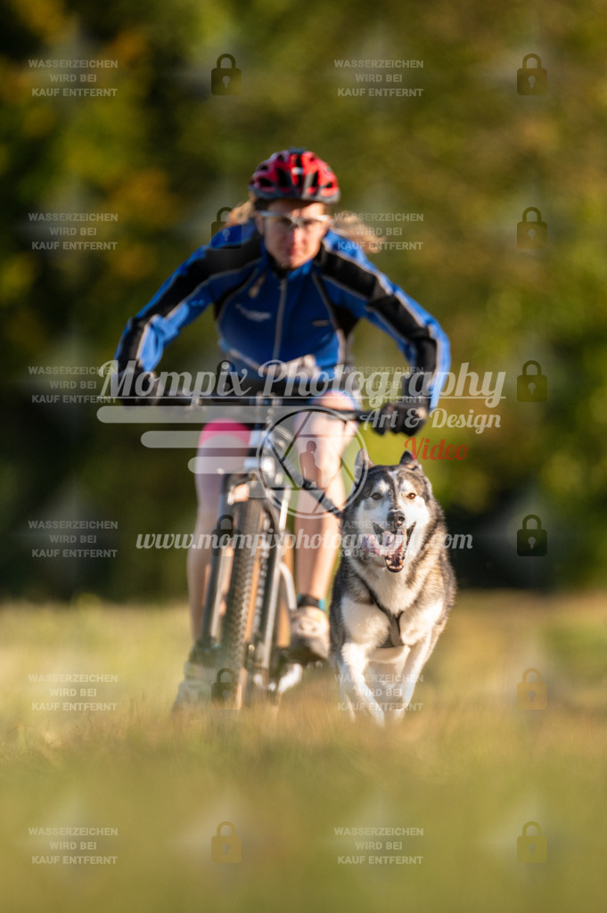 CDLBDB_15_10_2023_Dimanche-111 | PayLife