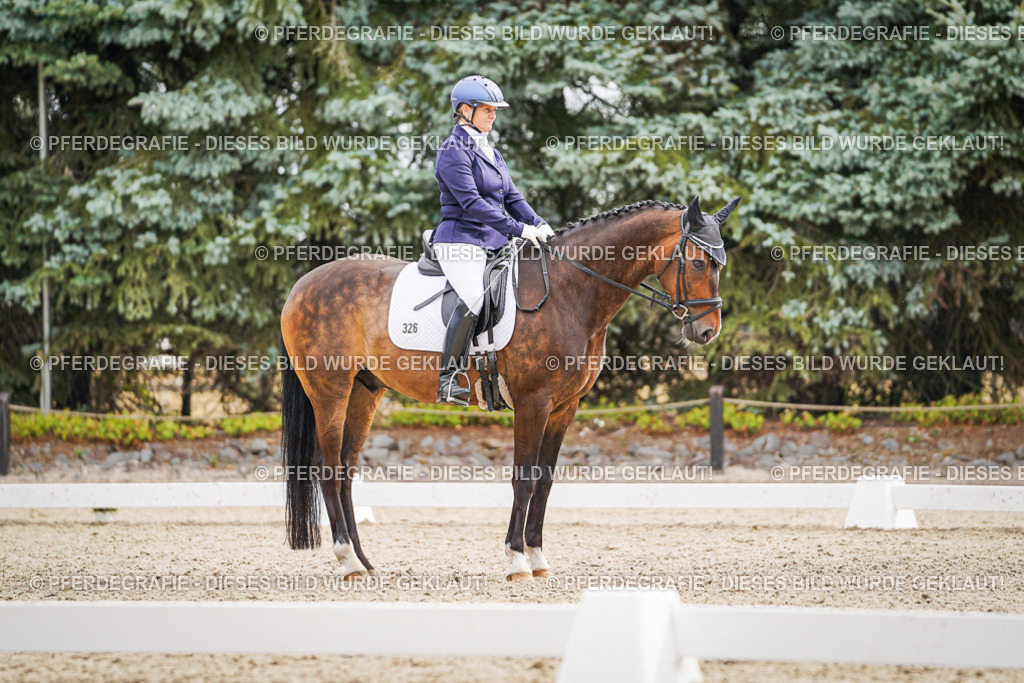 DSC01986 | Pferdegrafie