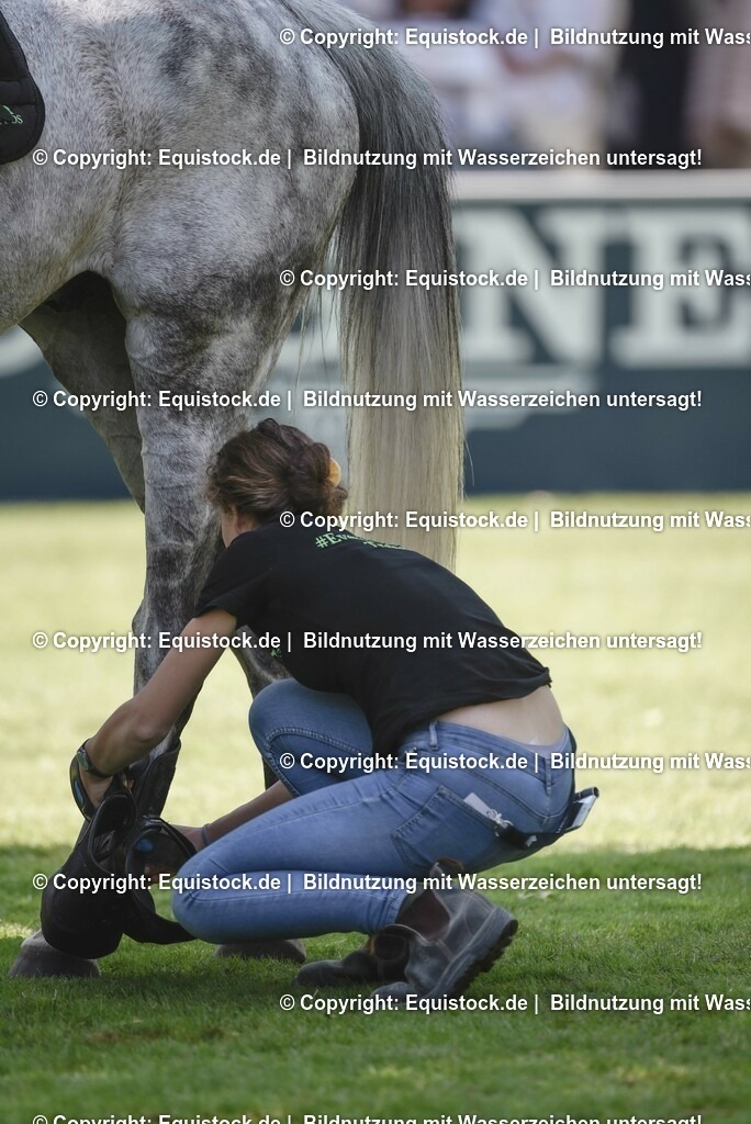 20230527_27_CCI4_Gelände_0223 | equistock