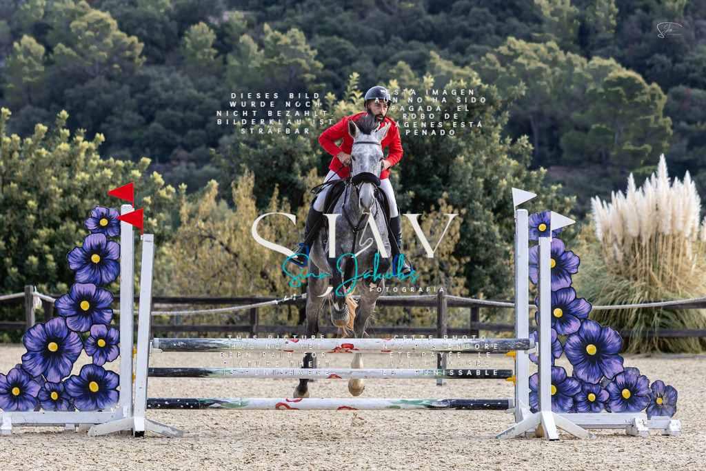 IMG_5420 | s-jay-photography - Realisiert mit Pictrs.com