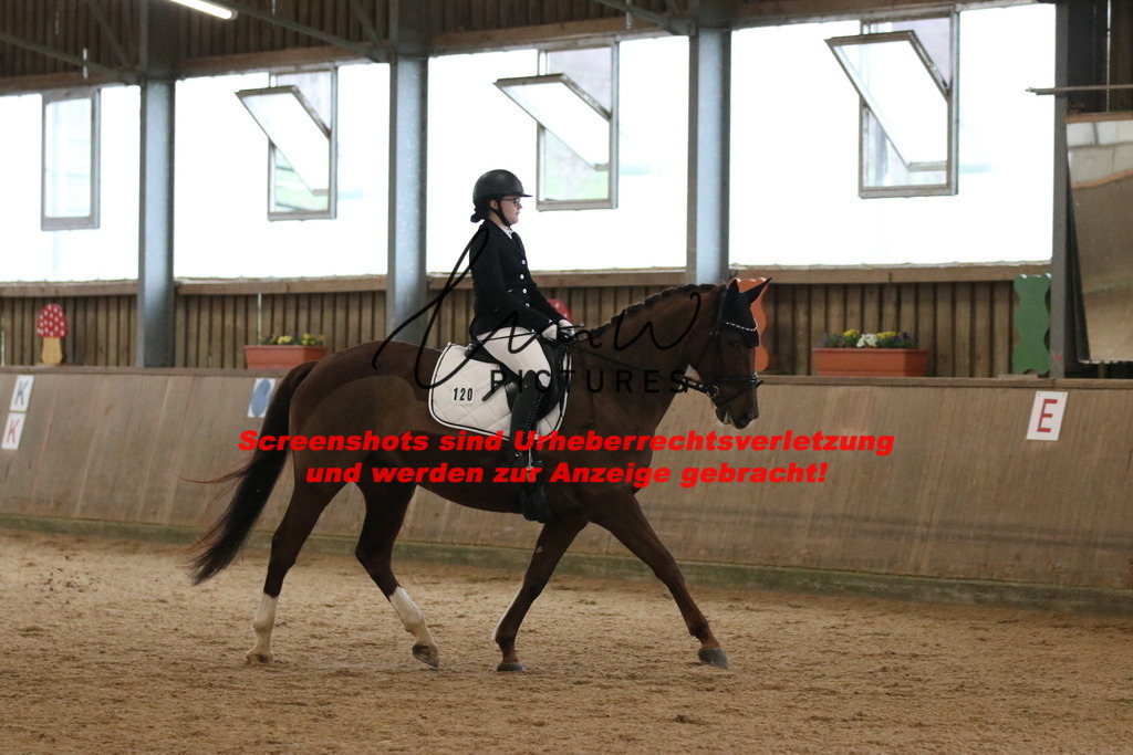 IMG_6362 | lmwpictures - Realisiert mit Pictrs.com