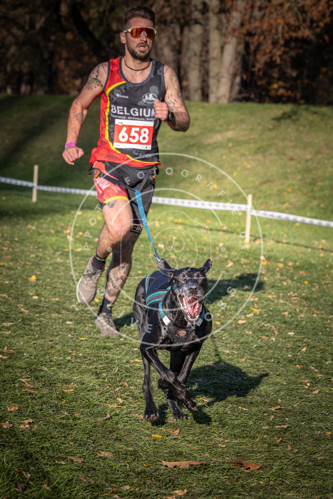 CaniXpix_0L8A9161 | Hundefotografie, Tierfotograf, Pfotenfotografie, Fotoshooting Hund, Hunde Portrait, Hundesport, Hundeportraits, Heideshooting, Hunde, Sportfotograf, Hundefotograf, Turnierhundsport, THS,  - Realisiert mit Pictrs.com