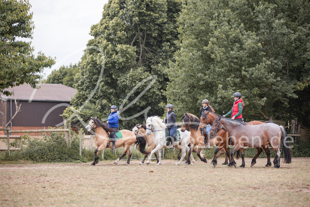 846A0375 | fotosleben - Realisiert mit Pictrs.com