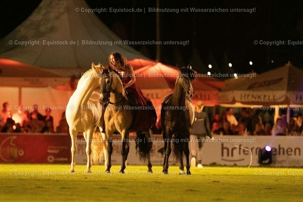 20230526_Pferdenacht_1505 | equistock