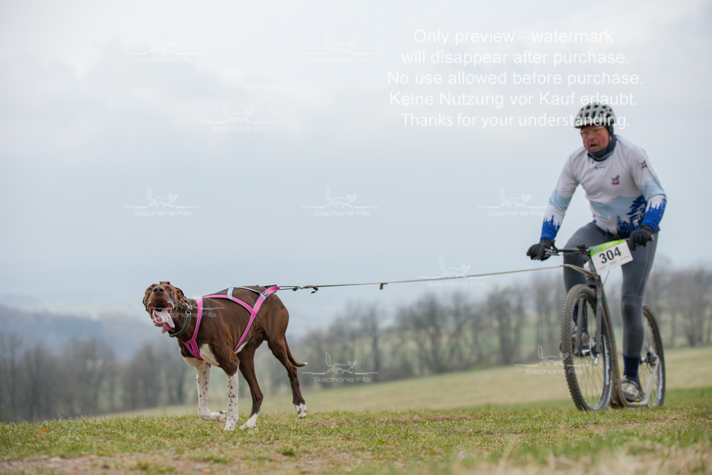 ScooterSA-25 | stephaniefillaphotographie - Realisiert mit Pictrs.com