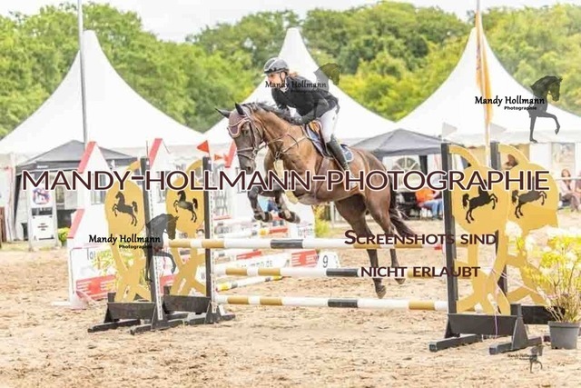 26-8-7 SPR A++-521 | mandyhollmannphotographie