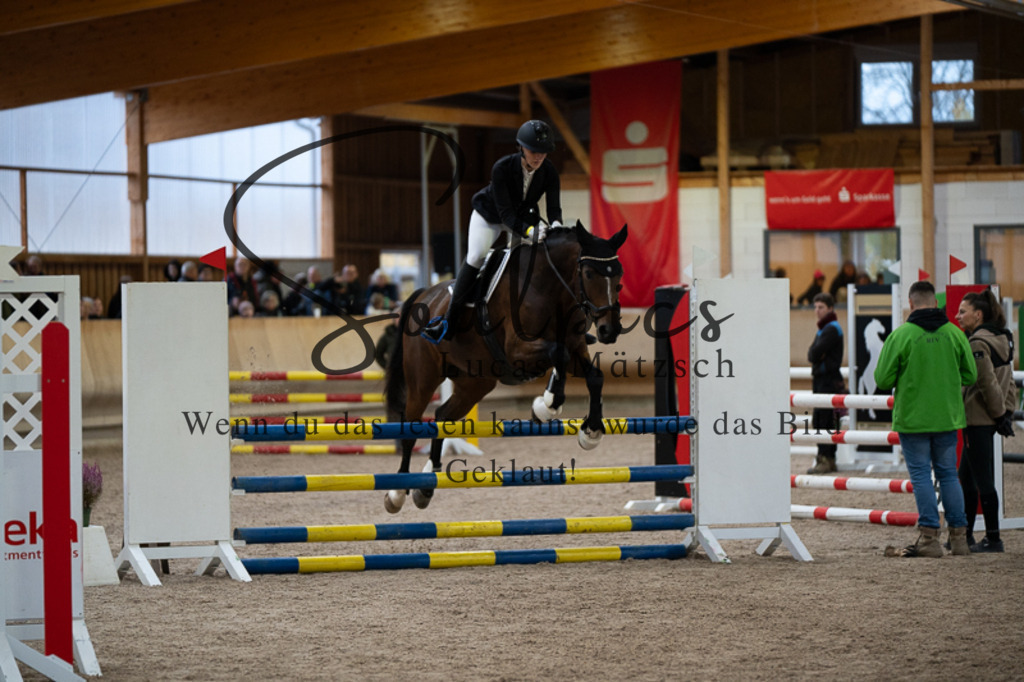 A7V03167 | Pferdefotograf