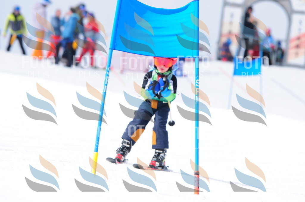 A3637 | holidayphoto