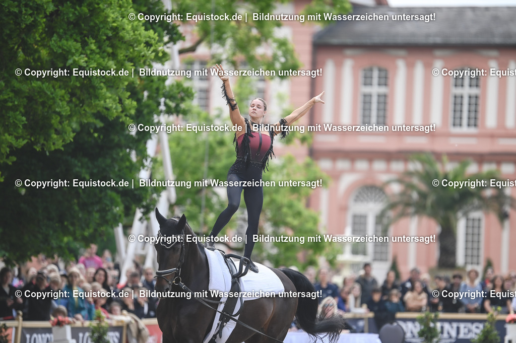 20240519_Voltige_0422 | Foto: Thomas Hartig