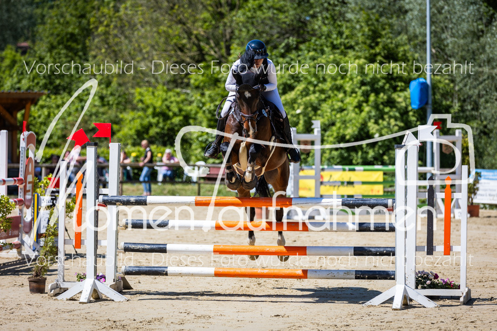 Donop24-L-Spr-005 | MomenTaufnahmen Pferdesportfotos