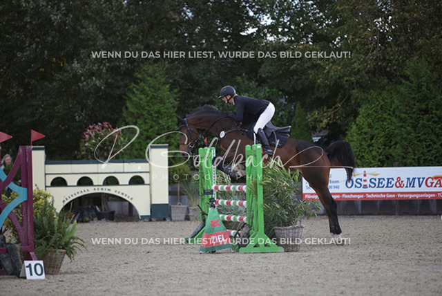 1J2A5224Britta Braunert_ Congettano Blue PS_ Kn267_ Havekost | Foto- und Videografie für alles rund ums Pferd. Hochwertige Bilder und Videos vom Spring- und Dressurreiten, Voltigieren & mehr. Jetzt aktuelle Veranstaltungen und Preise im Shop ansehen. - Realisiert mit Pictrs.com