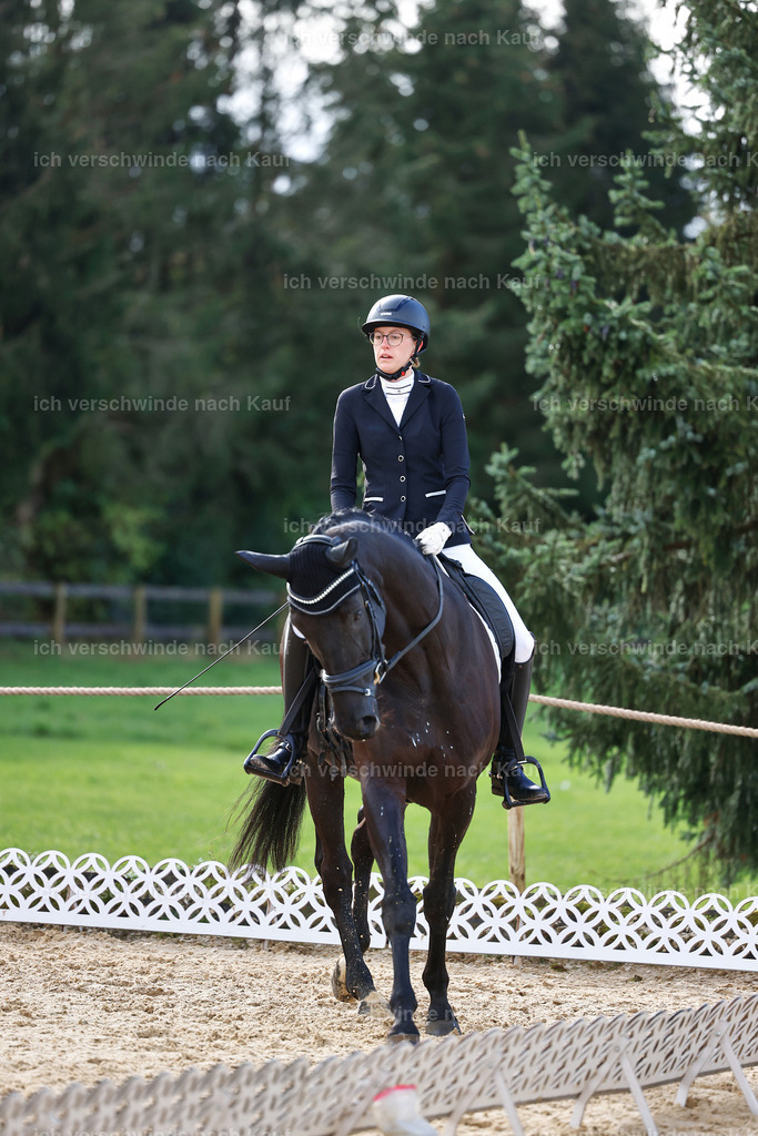 02-108-DRESSUR L_  -StoibPH-4736 | working equitationturnier fotograf videograf stoibphotography marixx film working equitation deutschland reitsport turnierfotografie eventfotografie equestrian events